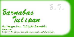 barnabas tulipan business card