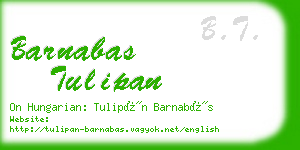 barnabas tulipan business card